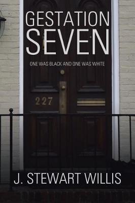 Gestation Seven: One Was Black and One Was White (Paperback)