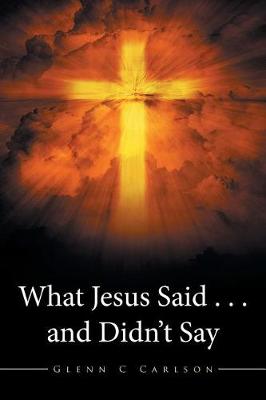 What Jesus Said . . . and Didn't Say (Paperback)