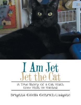 I Am Jet Jet the Cat: (a True Story of a Cat Which Knew What He Wanted) (Paperback)
