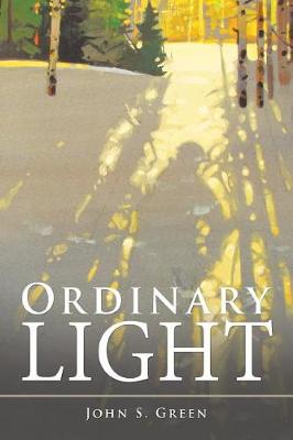 Ordinary Light (Paperback)