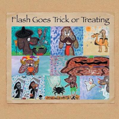 Flash Goes Trick or Treating (Paperback)