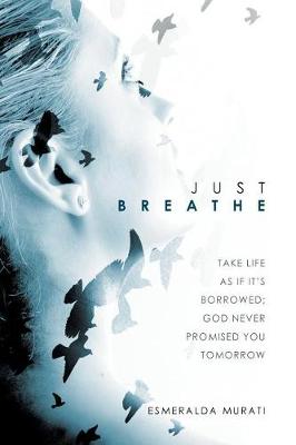 Just Breathe: Take Life as If It's Borrowed; God Never Promised You Tomorrow (Paperback)