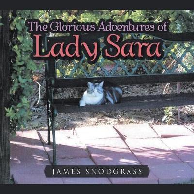 The Glorious Adventures of Lady Sara (Paperback)