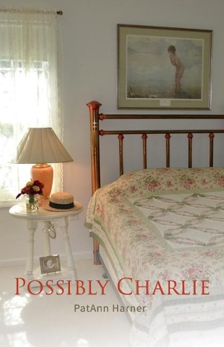 Possibly Charlie (Paperback)