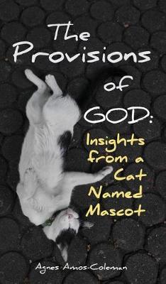 The Provisions of God: Insights from a Cat Named (Hardback)