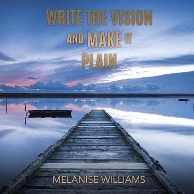 Write the Vision and Make It Plain (Paperback)