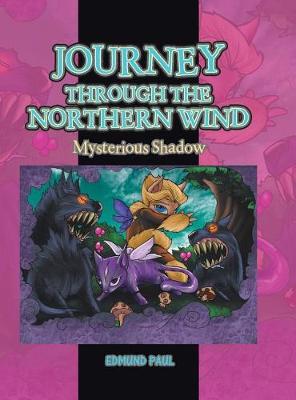 Journey Through the Northern Wind: Mysterious Shadow (Hardback)