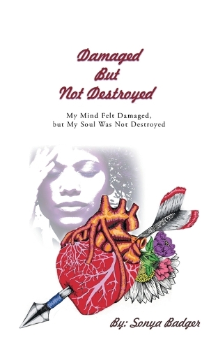 Damaged But Not Destroyed: My Mind Felt Damaged, But My Soul Was Not Destroyed (Paperback)