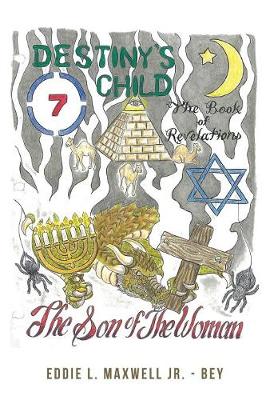 Destiny's Child: The Son of the Woman (Paperback)