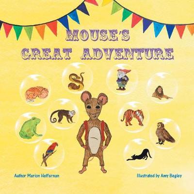 Mouse's Great Adventure (Paperback)