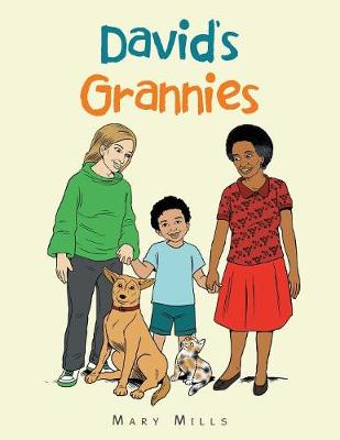 David's Grannies (Paperback)