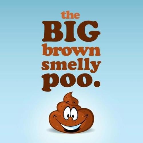 The Big Brown Smelly Poo (Paperback)