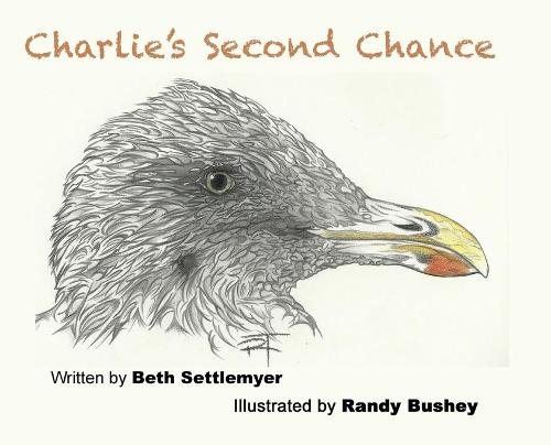Charlie's Second Chance (Hardback)