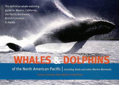 Whales and Dolphins of the North American Pacific: Including Seals and Other Marine Mammals (Paperback)