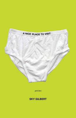 Nice Place to Visit (Paperback)