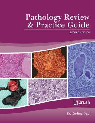 Pathology Review and Practice Guide (Hardback)