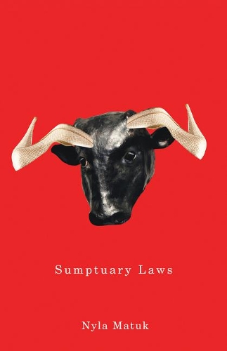 Sumptuary Laws (Paperback)
