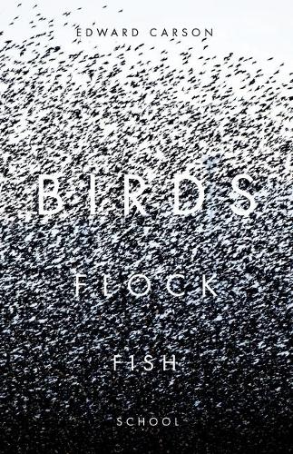 Birds Flock Fish School (Paperback)
