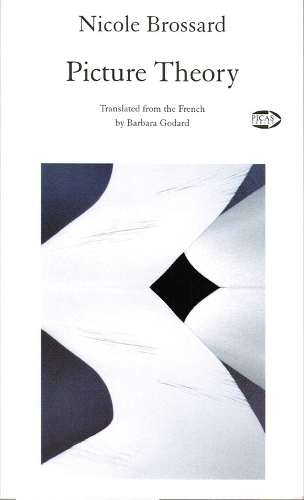Picture Theory (Paperback)