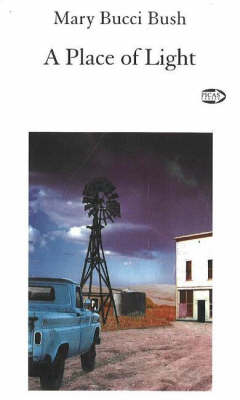 Place of Light (Paperback)