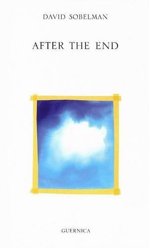After the End (Paperback)