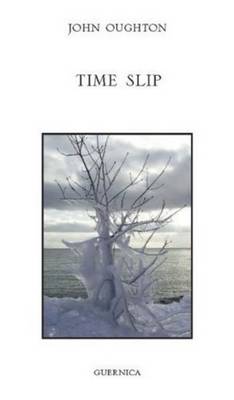 Time Slip (Paperback)