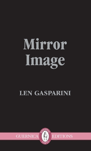 Mirror Image (Paperback)