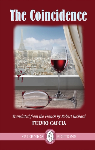 Coincidence (Paperback)