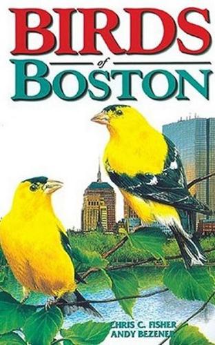 Birds of Boston (Paperback)