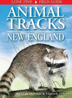 Animal Tracks of New England (Paperback)