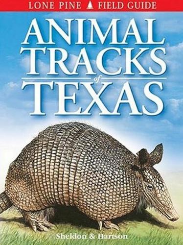 Animal Tracks of Texas (Paperback)