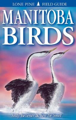 Manitoba Birds (Paperback)