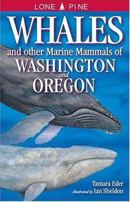 Whales and Other Marine Mammals of Washington and Oregon (Paperback)