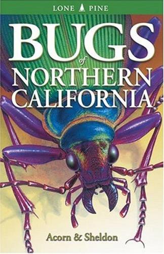Bugs of Northern California (Paperback)
