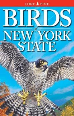 Birds of New York State (Paperback)