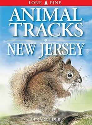Animal Tracks of New Jersey (Paperback)