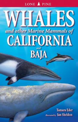 Whales and Other Marine Mammals of California and Baja (Paperback)