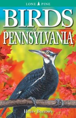 Birds of Pennsylvania (Paperback)