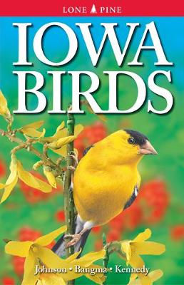 Iowa Birds (Paperback)