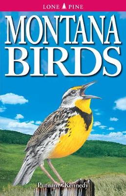 Montana Birds (Paperback)