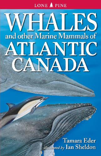 Whales and Other Marine Mammals of Atlantic Canada (Paperback)