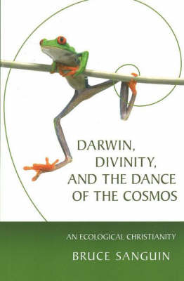 Darwin, Divinity, and the Dance of the Cosmos: An Ecological Christianity (Paperback)