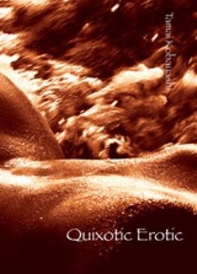 Quixotic Erotic (Paperback)