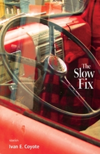 The Slow Fix (Paperback)