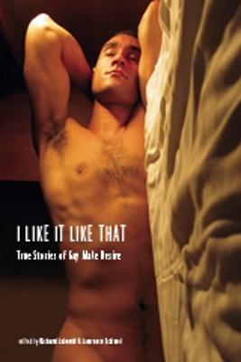 I Like It Like That: True Stories of Gay Male Desire (Paperback)