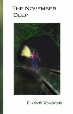 The November Deep (Paperback)