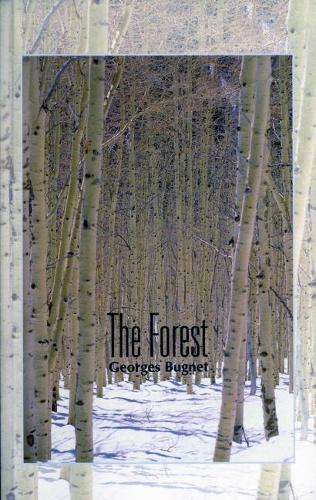 The Forest (Paperback)