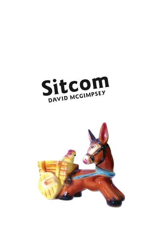 Sitcom (Paperback)