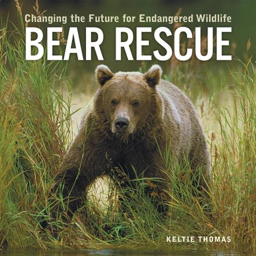 Bear Rescue (Paperback)