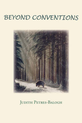Beyond Conventions (Paperback)